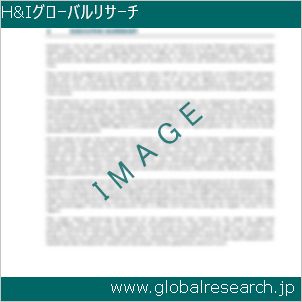 グローバルリサーチ調査レポートのイメージ